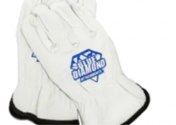 Apparel